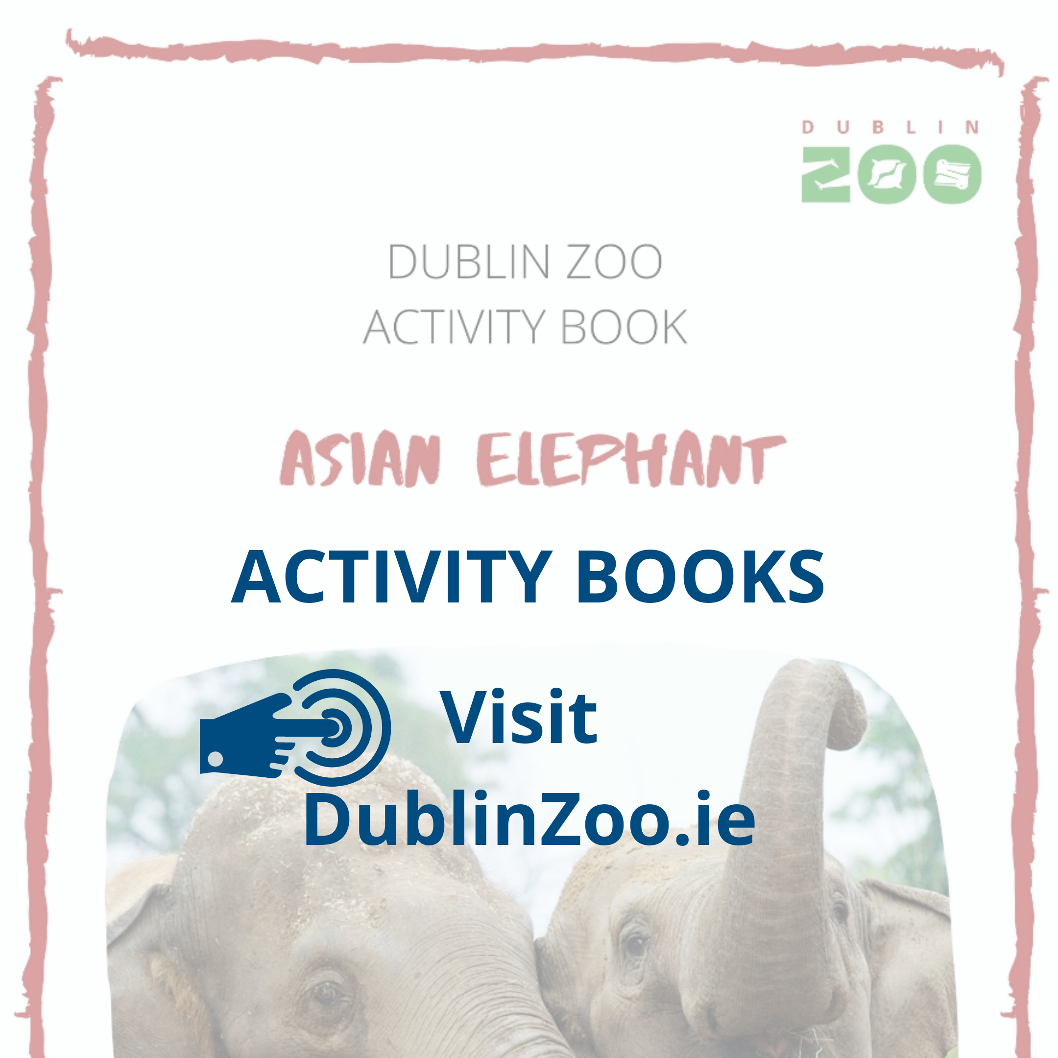 Dublin Zoo Activity Books