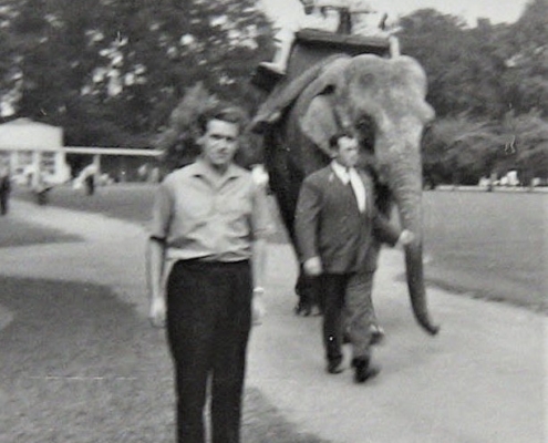 EHP Week 1 - WRITE - Dublin Zoo 1963