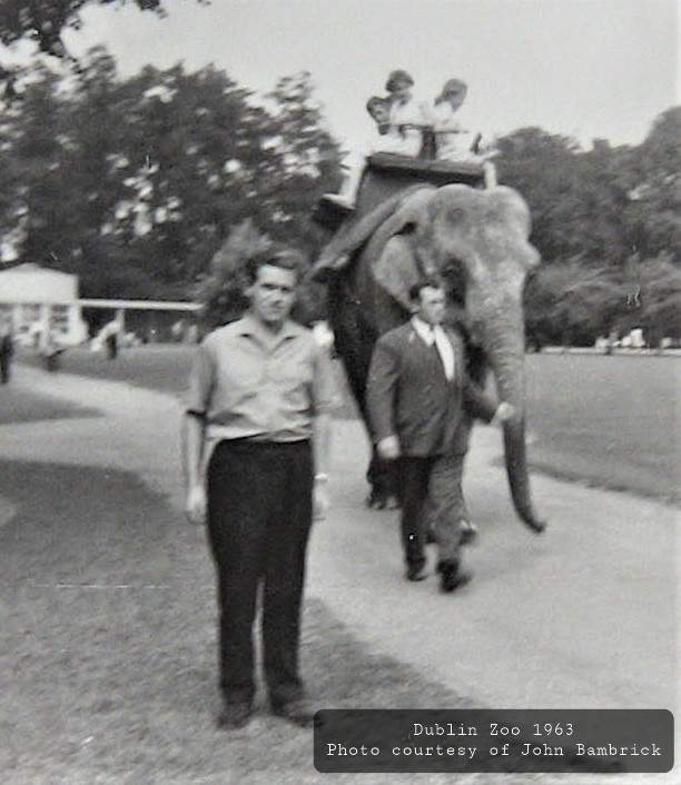 EHP Week 1 - WRITE - Dublin Zoo 1963