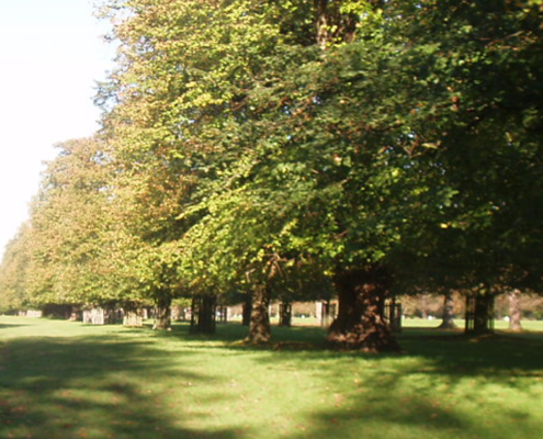 Walking in local parks