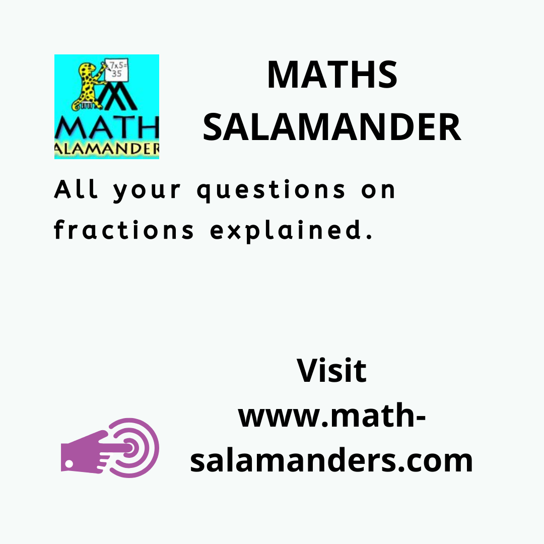 MATHS SALAMANDER