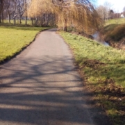 Sunny path beside a river and a weeping willow tree