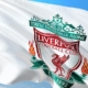 Liverpool Football Club By Royston